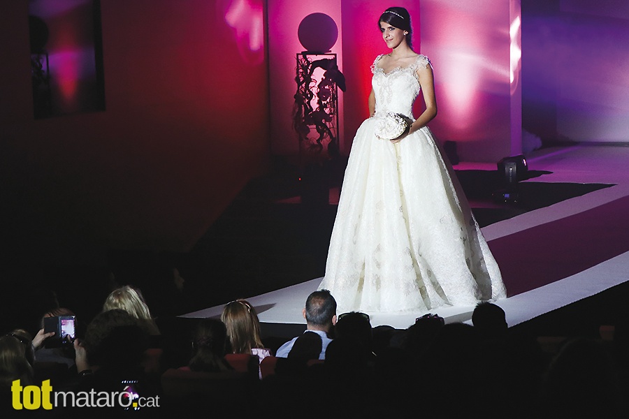 Imagen 27031
